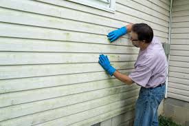 Best Historical Building Siding Restoration  in Damascus, OR